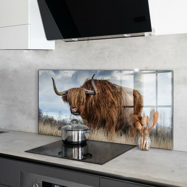 Sticlă bucătărie Vaca highland boho