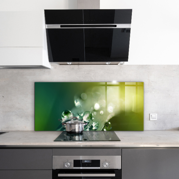 Sticlă bucătărie Roua pe frunze verzi