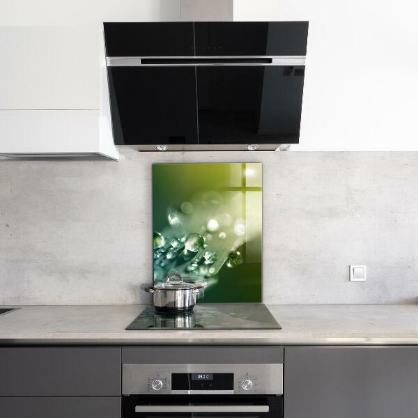 Sticlă bucătărie Roua pe frunze verzi