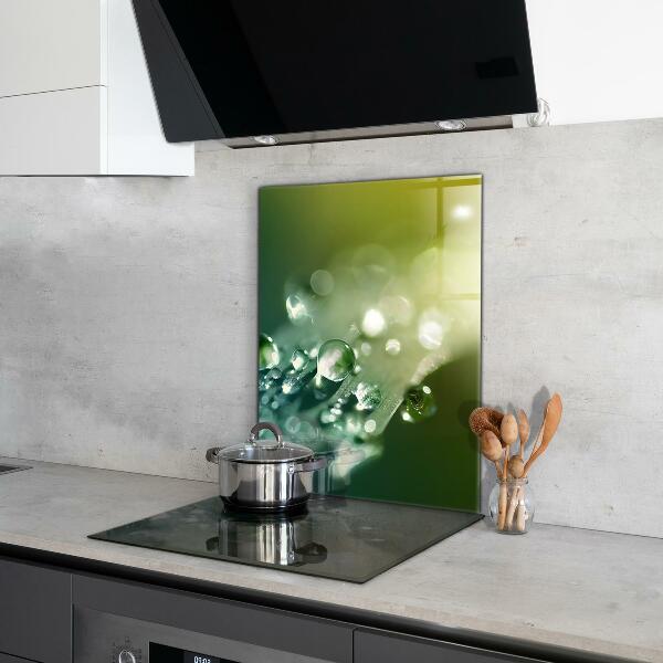 Sticlă bucătărie Roua pe frunze verzi