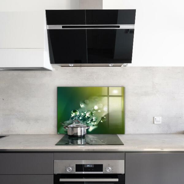 Sticlă bucătărie Roua pe frunze verzi