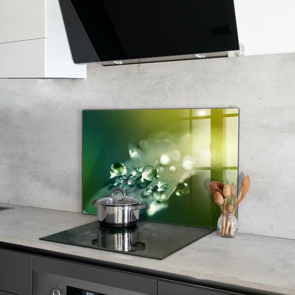 Sticlă bucătărie Roua pe frunze verzi