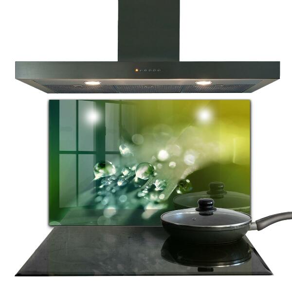 Sticlă bucătărie Roua pe frunze verzi