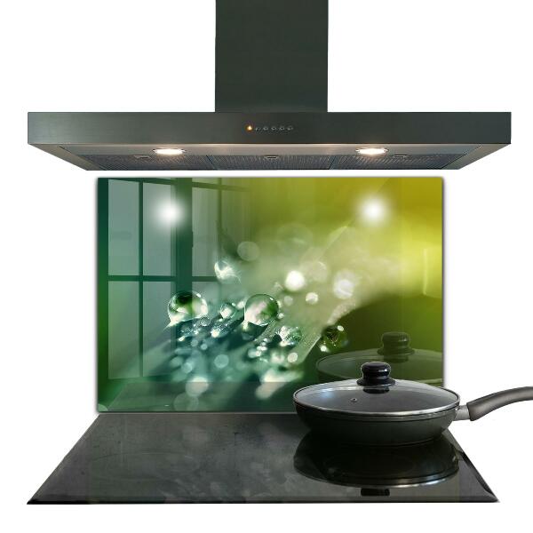 Sticlă bucătărie Roua pe frunze verzi