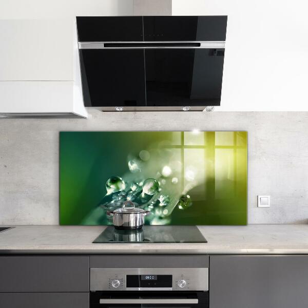 Sticlă bucătărie Roua pe frunze verzi