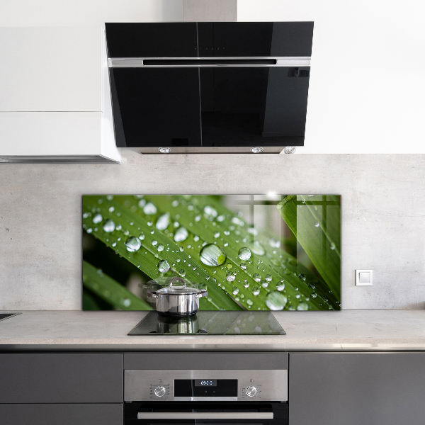 Sticlă bucătărie Picături de rouă pe iarbă