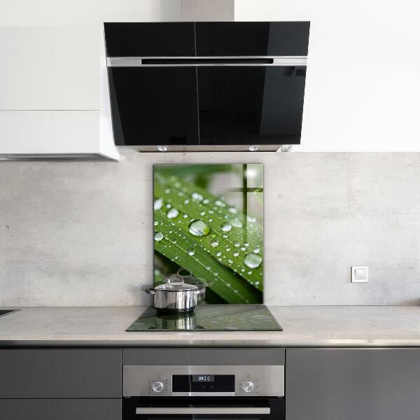 Sticlă bucătărie Picături de rouă pe iarbă