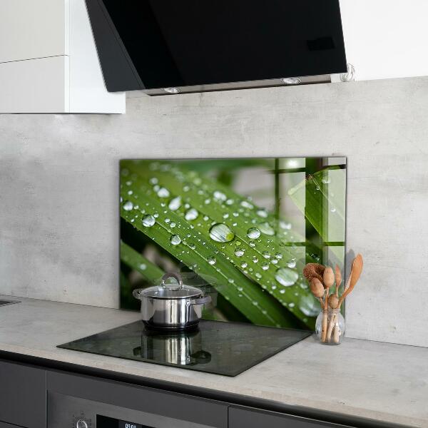 Sticlă bucătărie Picături de rouă pe iarbă