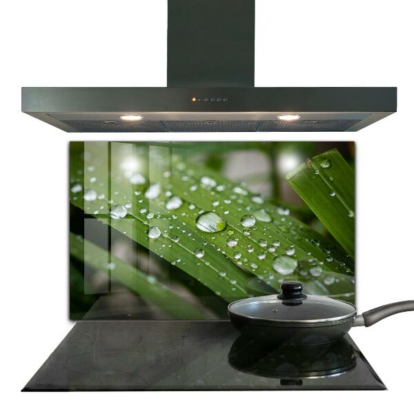 Sticlă bucătărie Picături de rouă pe iarbă