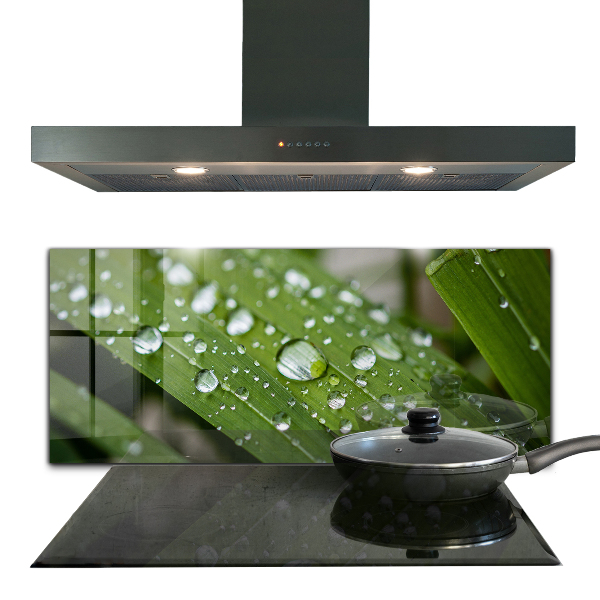 Sticlă bucătărie Picături de rouă pe iarbă