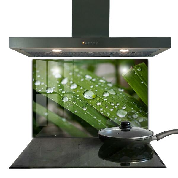 Sticlă bucătărie Picături de rouă pe iarbă