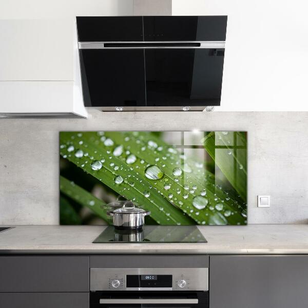 Sticlă bucătărie Picături de rouă pe iarbă