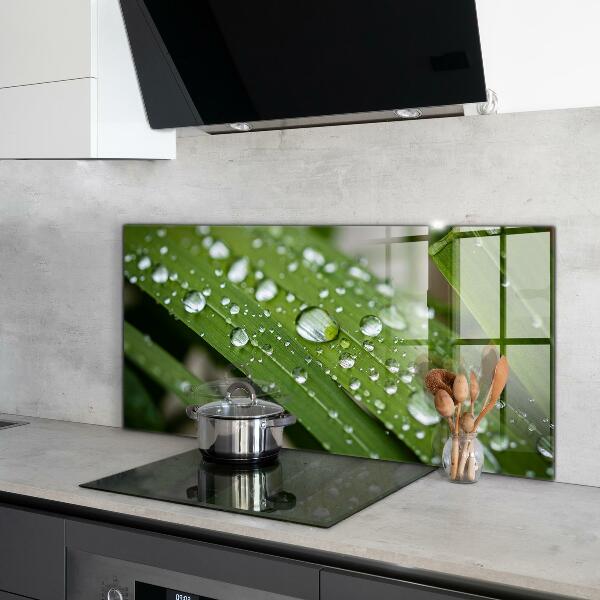 Sticlă bucătărie Picături de rouă pe iarbă