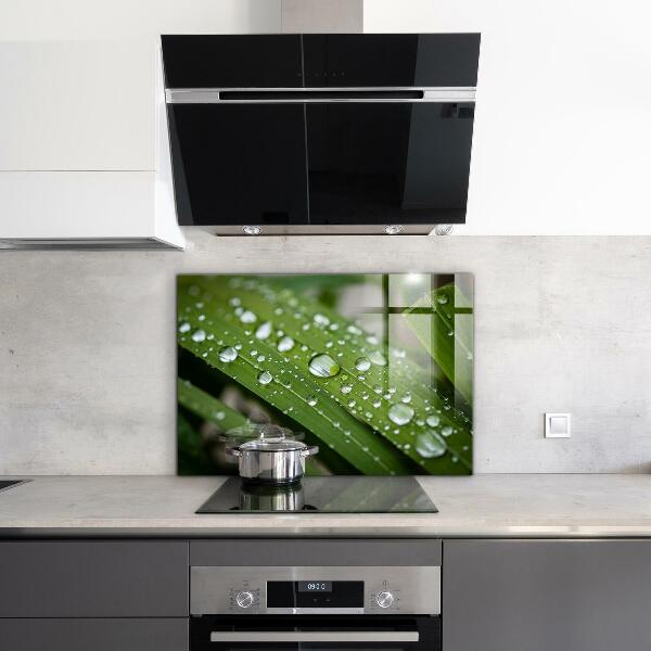 Sticlă bucătărie Picături de rouă pe iarbă