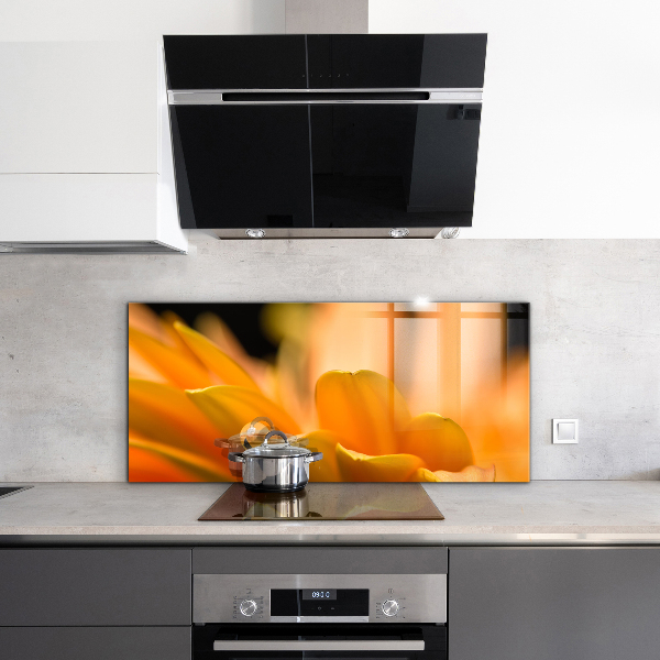 Sticlă bucătărie Floare gerber