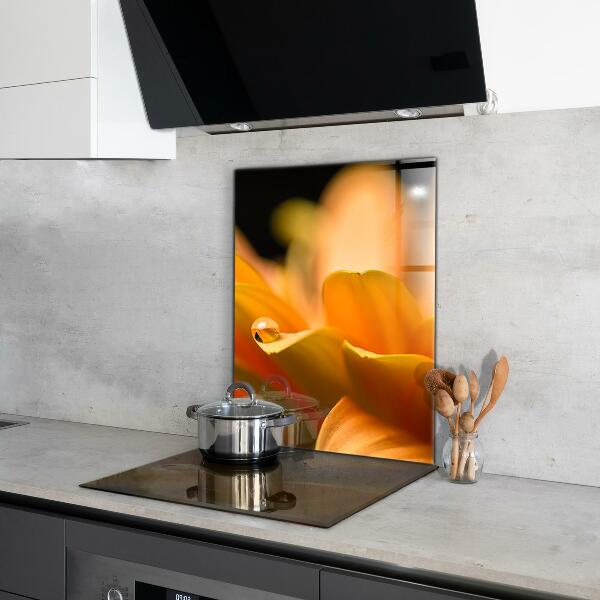 Sticlă bucătărie Floare gerber