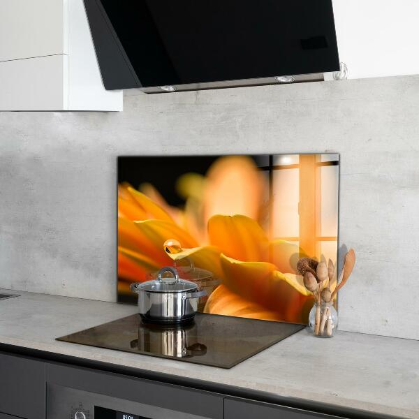 Sticlă bucătărie Floare gerber