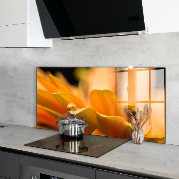 Sticlă bucătărie Floare gerber