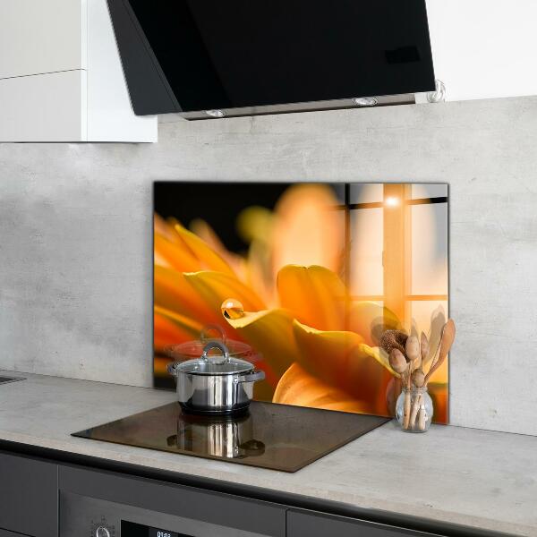 Sticlă bucătărie Floare gerber