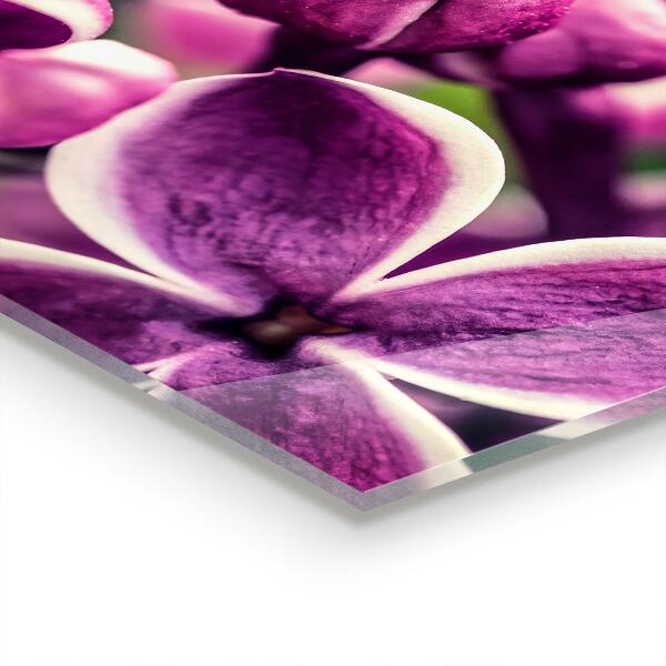 Panou perete bucătărie Crini roz frumusețe naturală