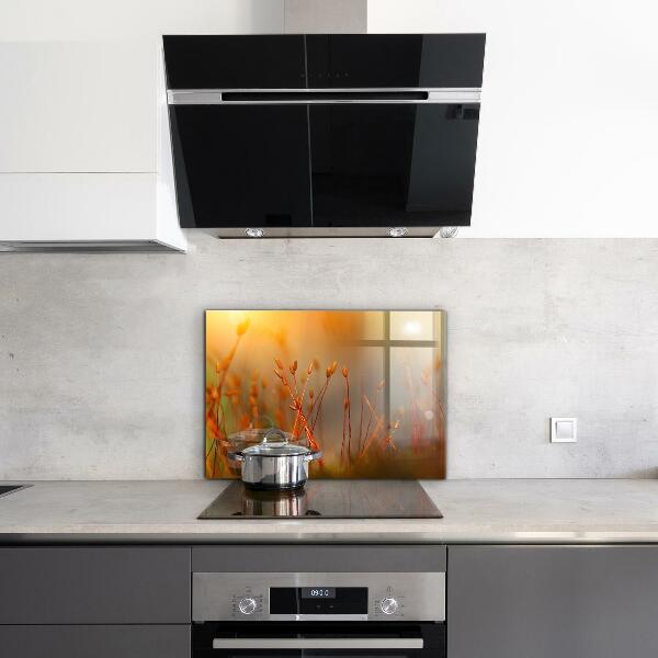 Panou perete bucătărie Câmp de cereale la apus