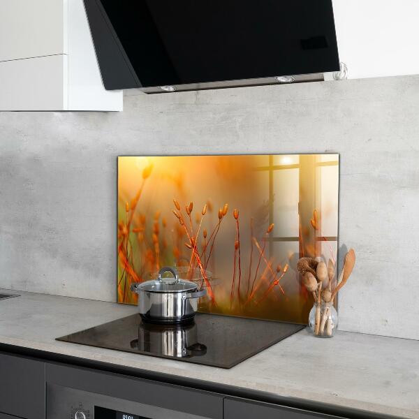 Panou perete bucătărie Câmp de cereale la apus