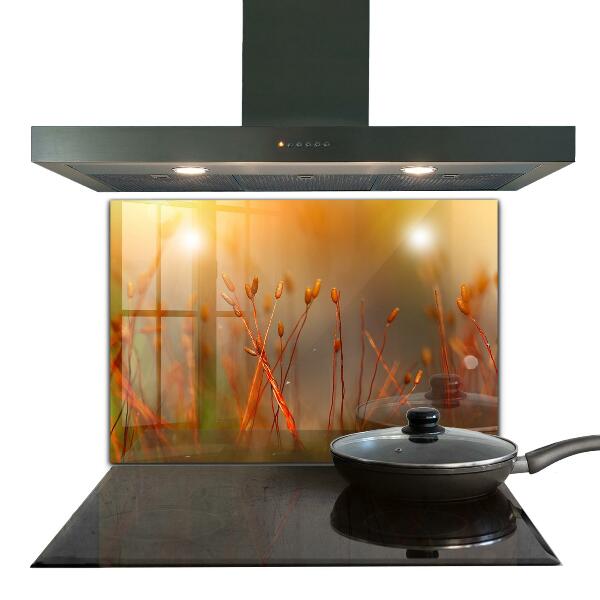 Panou perete bucătărie Câmp de cereale la apus