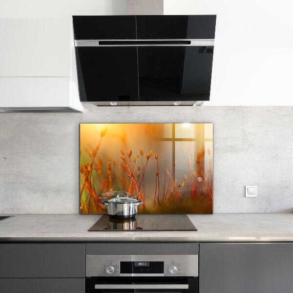 Panou perete bucătărie Câmp de cereale la apus