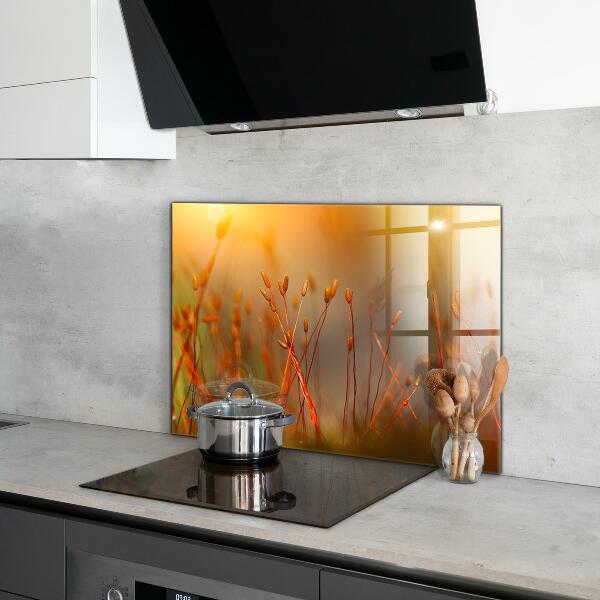 Panou perete bucătărie Câmp de cereale la apus