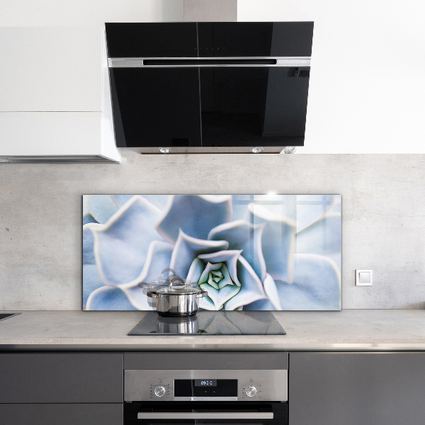 Panou perete bucătărie Cactus suculent