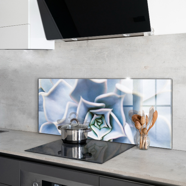 Panou perete bucătărie Cactus suculent