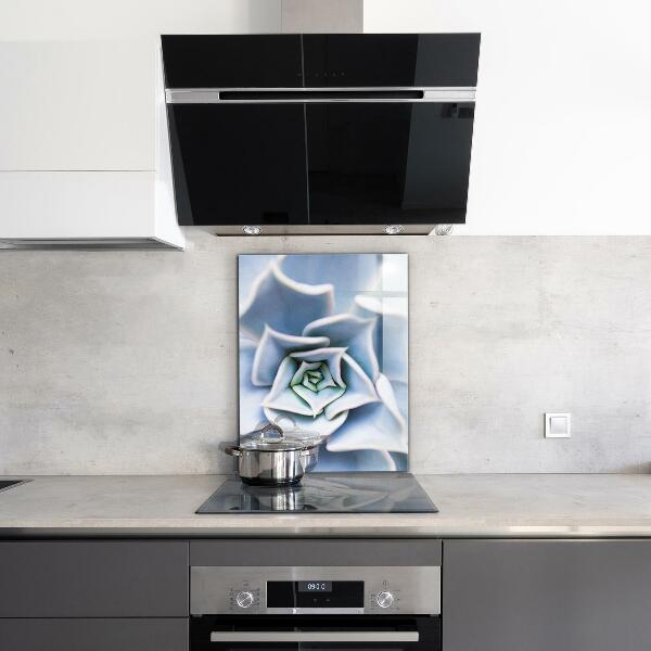 Panou perete bucătărie Cactus suculent