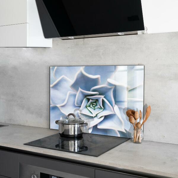 Panou perete bucătărie Cactus suculent