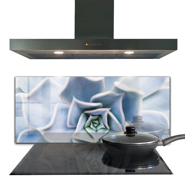 Panou perete bucătărie Cactus suculent