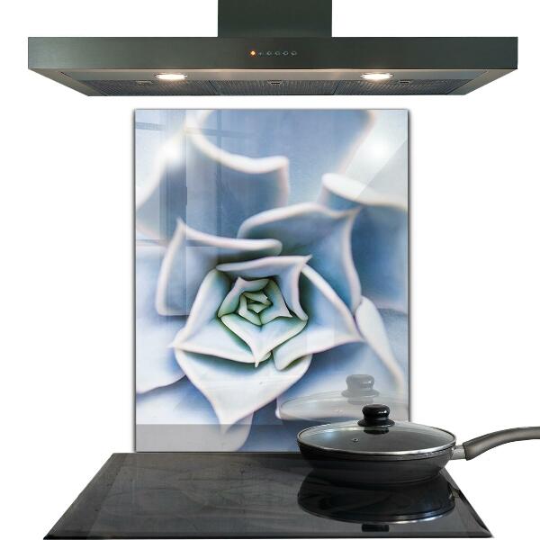 Panou perete bucătărie Cactus suculent