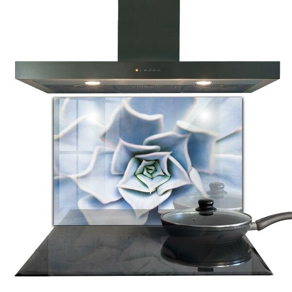 Panou perete bucătărie Cactus suculent