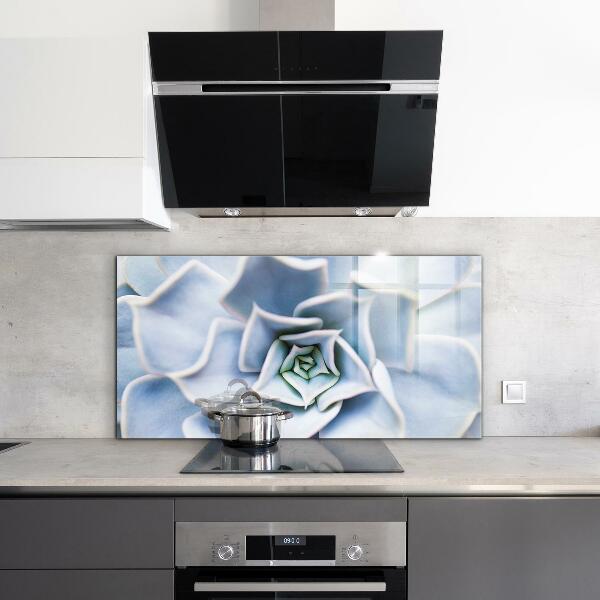 Panou perete bucătărie Cactus suculent