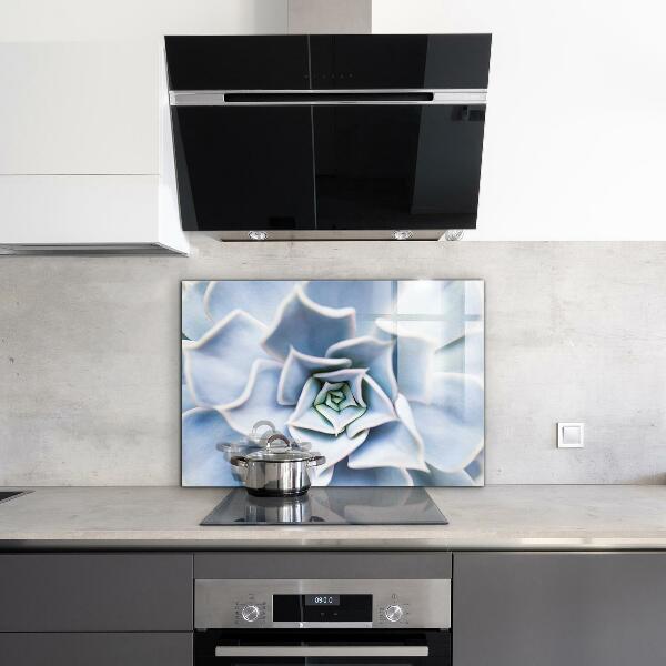 Panou perete bucătărie Cactus suculent