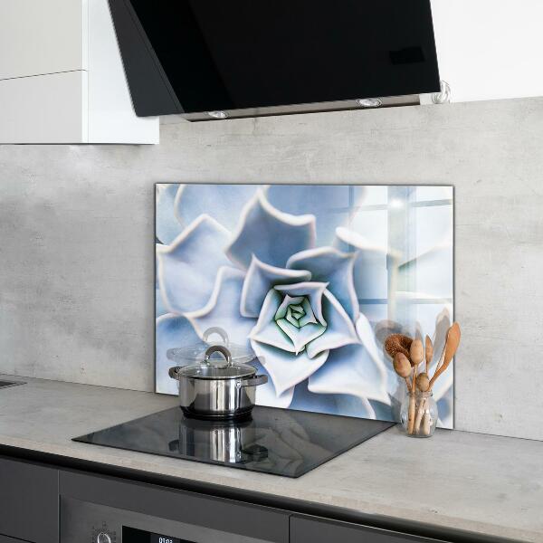 Panou perete bucătărie Cactus suculent