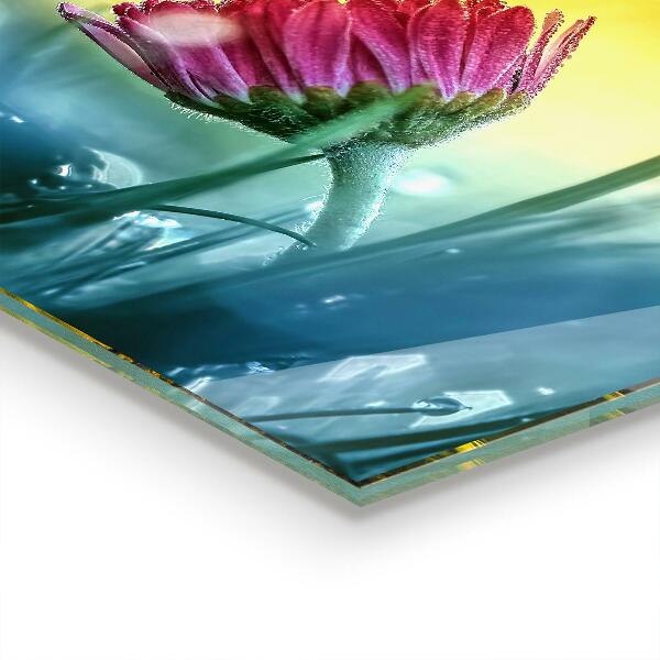 Panou perete bucătărie Daisy delicată în luncă