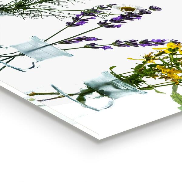 Panou perete bucătărie Ierburi naturale de sănătate