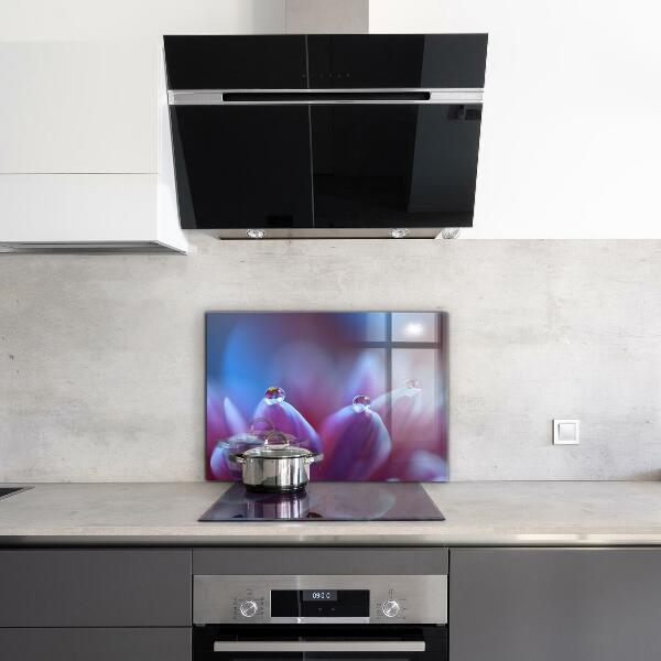 Sticlă bucătărie Picături de rouă floare violetă