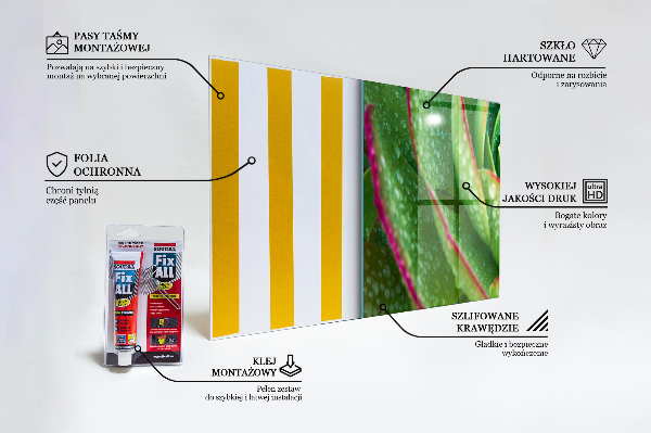 Sticlă bucătărie Grădina verde skalnik suculentă