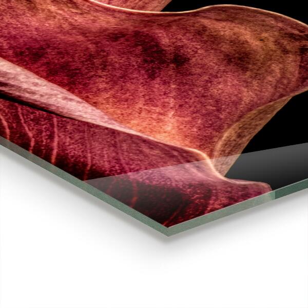 Sticlă bucătărie Frunză delicată elegantă