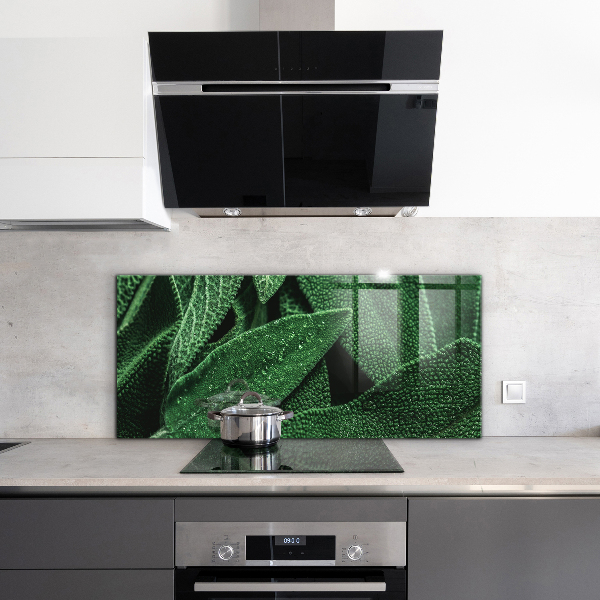 Panou sticlă bucătărie Frunze verzi după ploaie