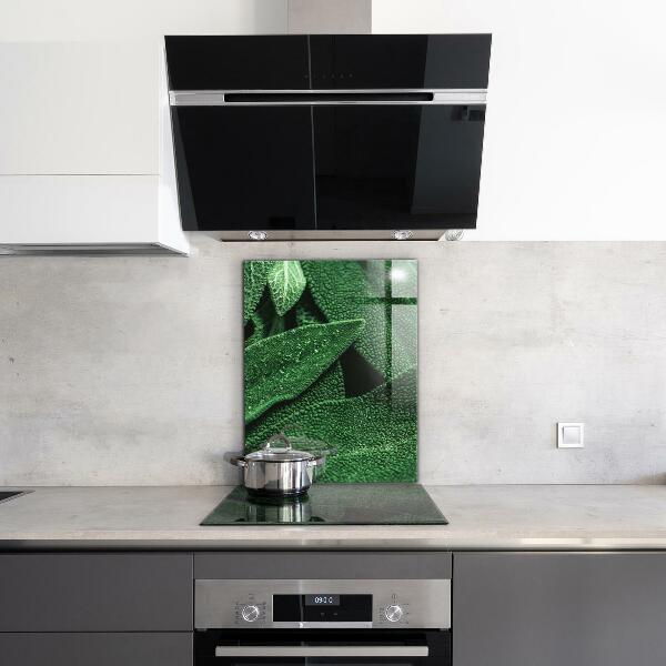 Panou sticlă bucătărie Frunze verzi după ploaie
