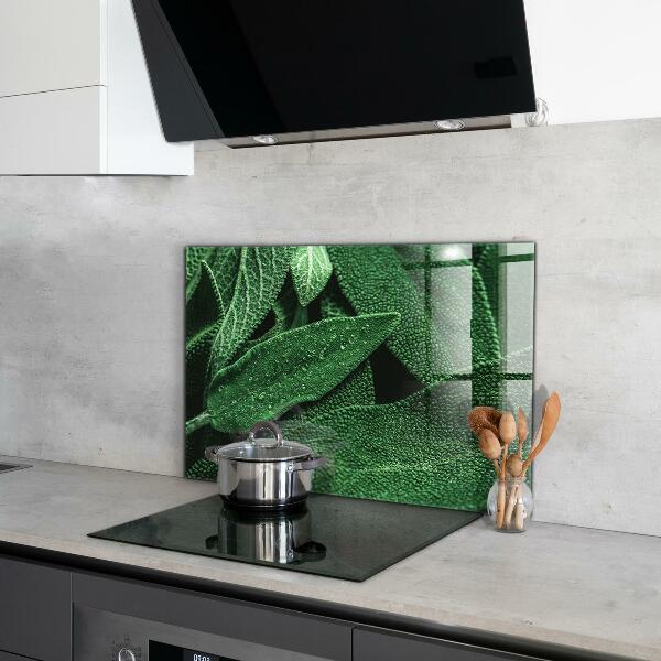 Panou sticlă bucătărie Frunze verzi după ploaie