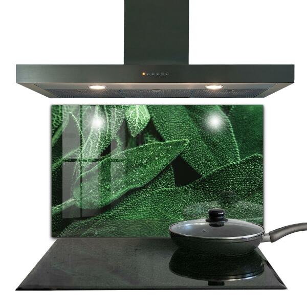 Panou sticlă bucătărie Frunze verzi după ploaie