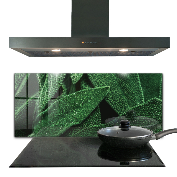 Panou sticlă bucătărie Frunze verzi după ploaie