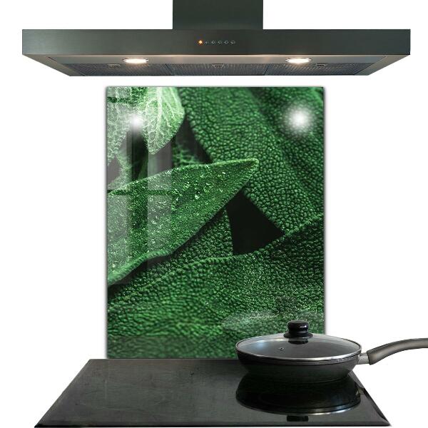 Panou sticlă bucătărie Frunze verzi după ploaie